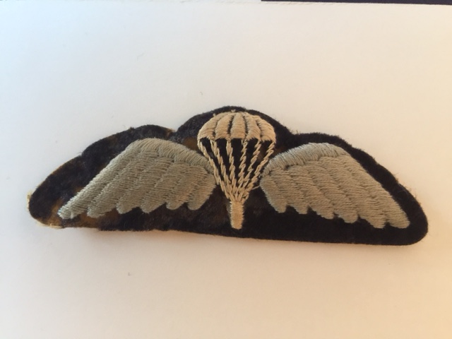 Parachute wings insignia